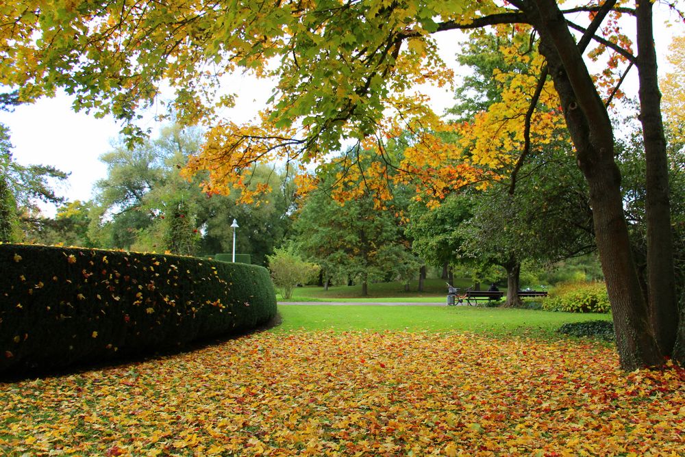 Herbststimmung im Park