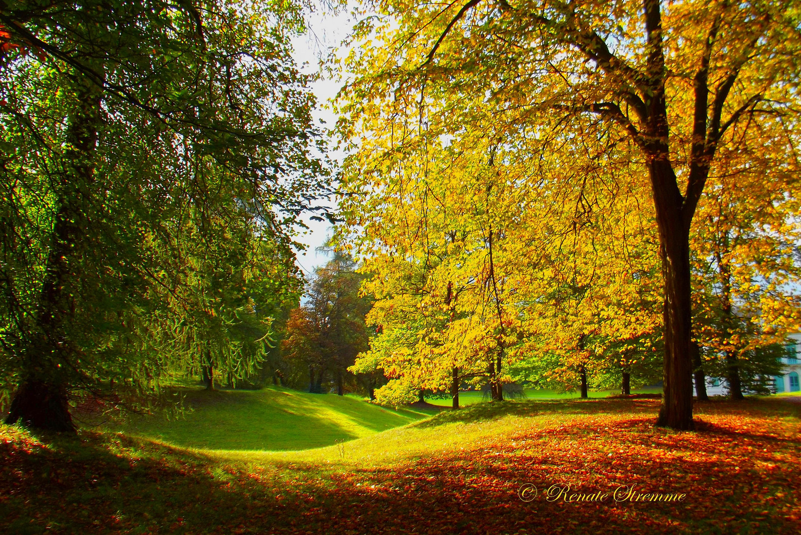 Herbststimmung im Park