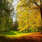 Herbststimmung im Park