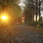 Herbststimmung im Park 