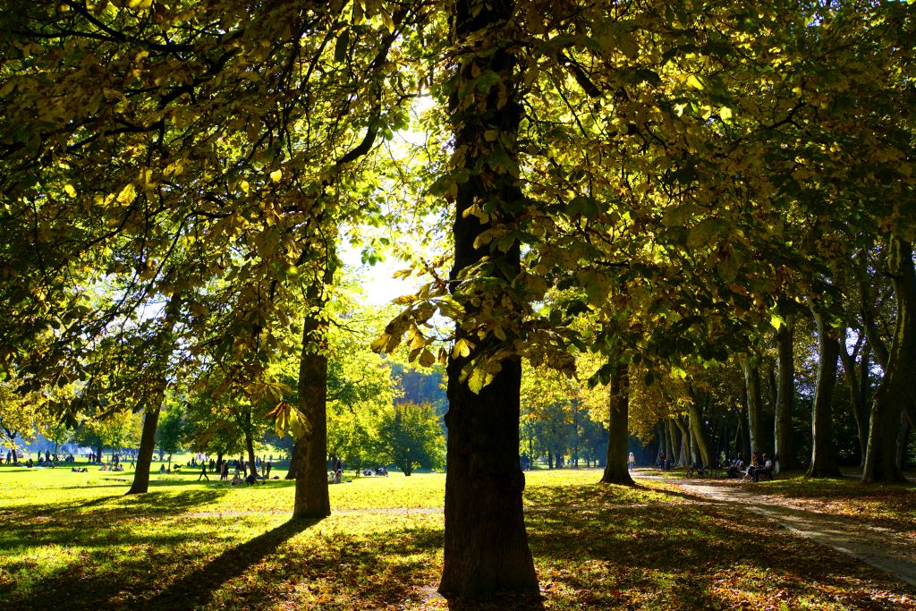 Herbststimmung im Park