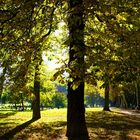 Herbststimmung im Park