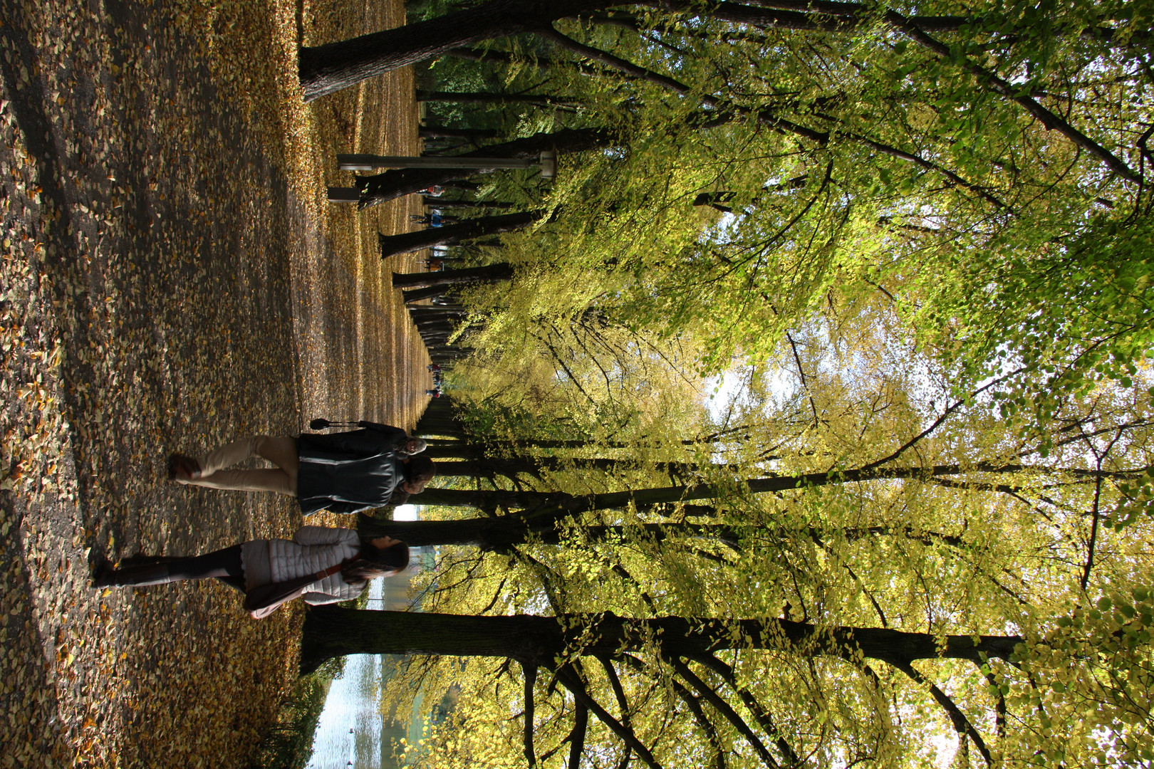 Herbststimmung im Park 