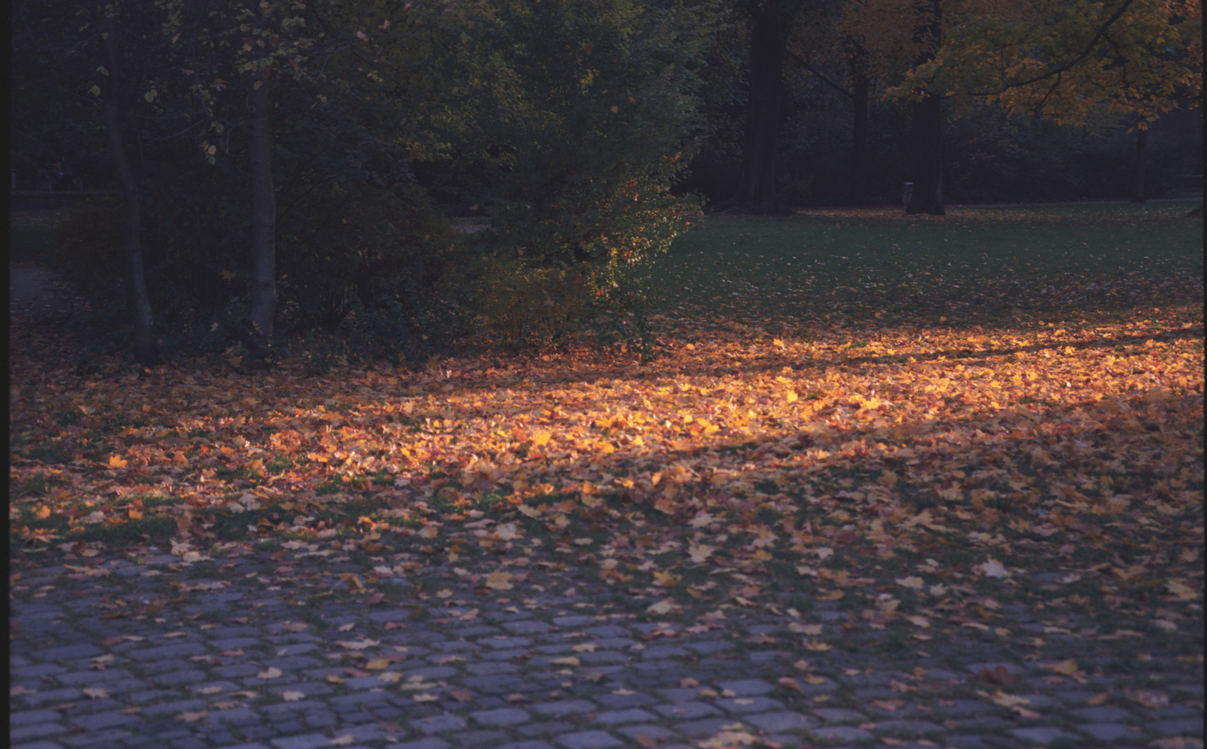 Herbststimmung im Park