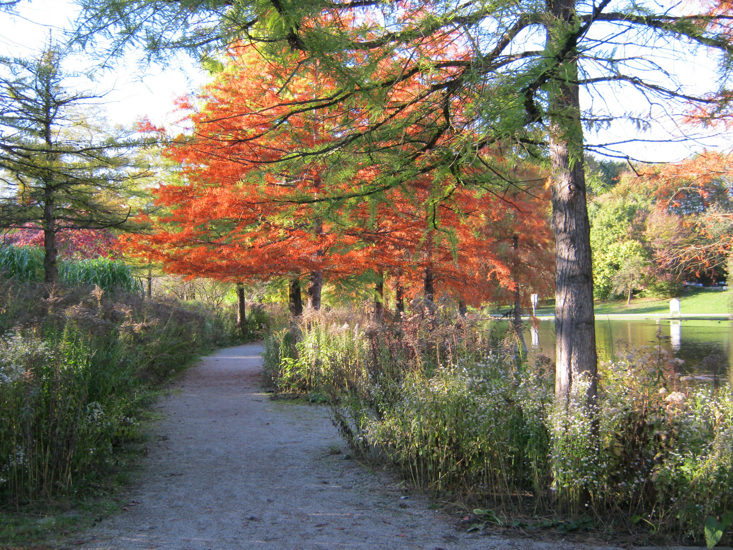 Herbststimmung im Park