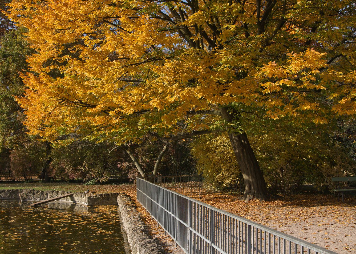 Herbststimmung im Park