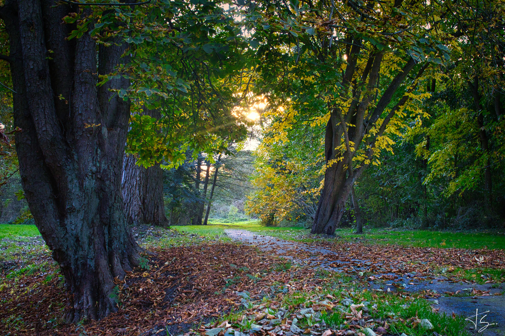 Herbststimmung im Park