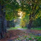 Herbststimmung im Park