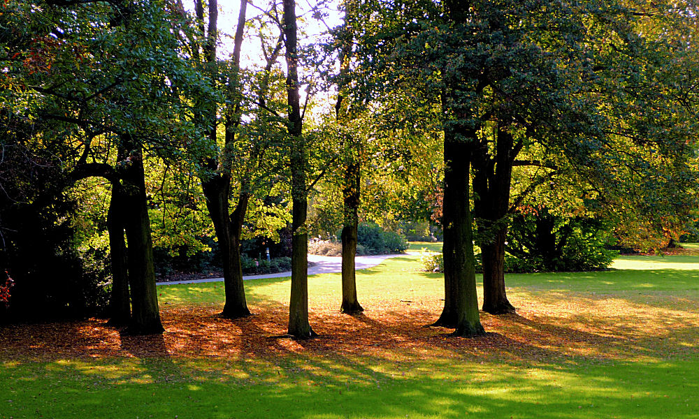 Herbststimmung im Park