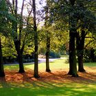 Herbststimmung im Park