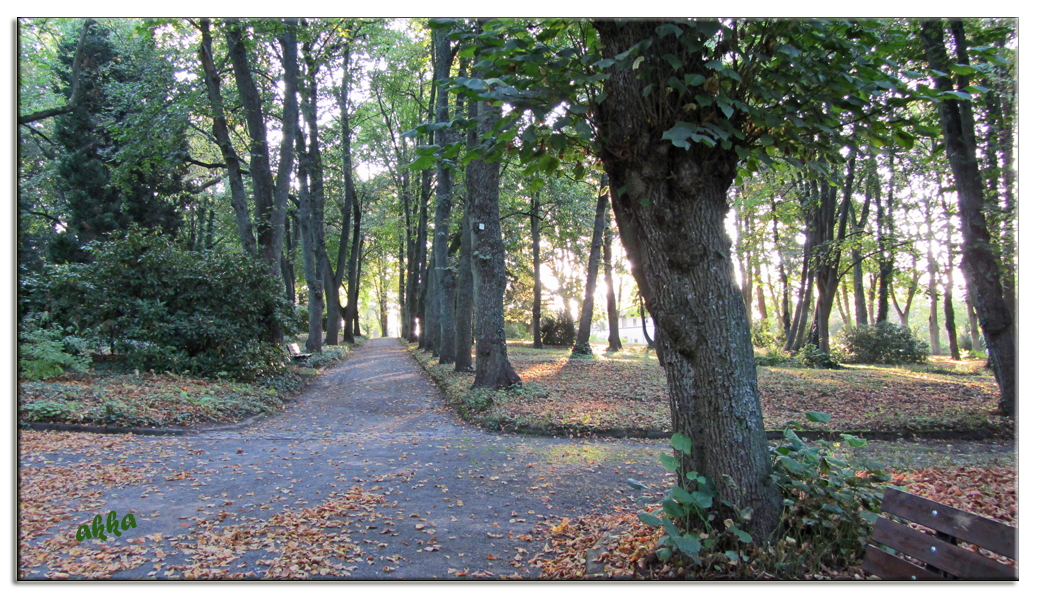 Herbststimmung im Park