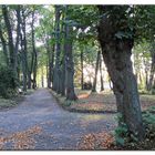 Herbststimmung im Park