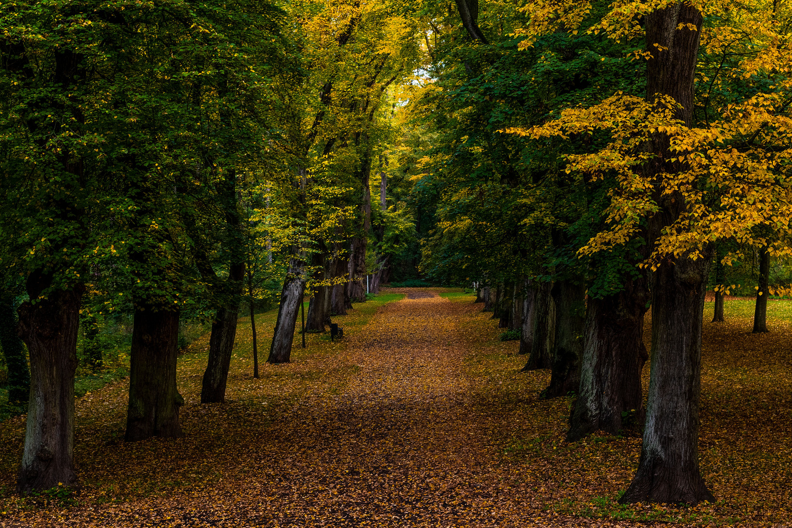 Herbststimmung im Prinz-Albrecht-Park in Braunschweig