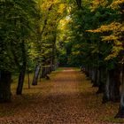 Herbststimmung im Prinz-Albrecht-Park in Braunschweig