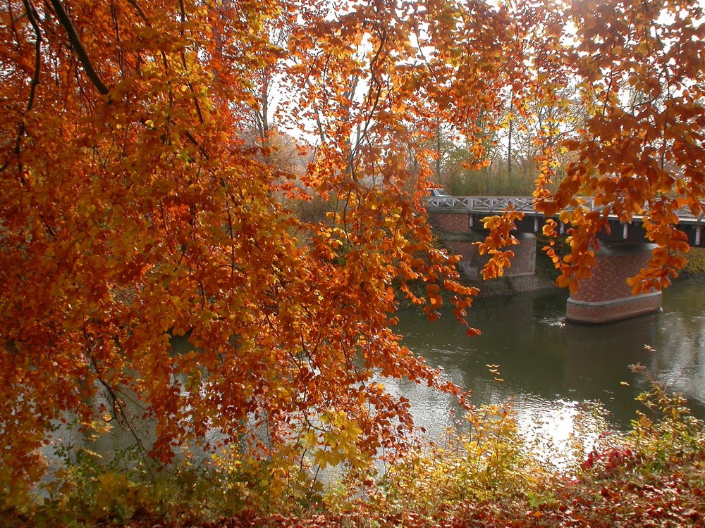 Herbststimmung im Pücklerpark Bad Muskau