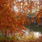 Herbststimmung im Pücklerpark Bad Muskau