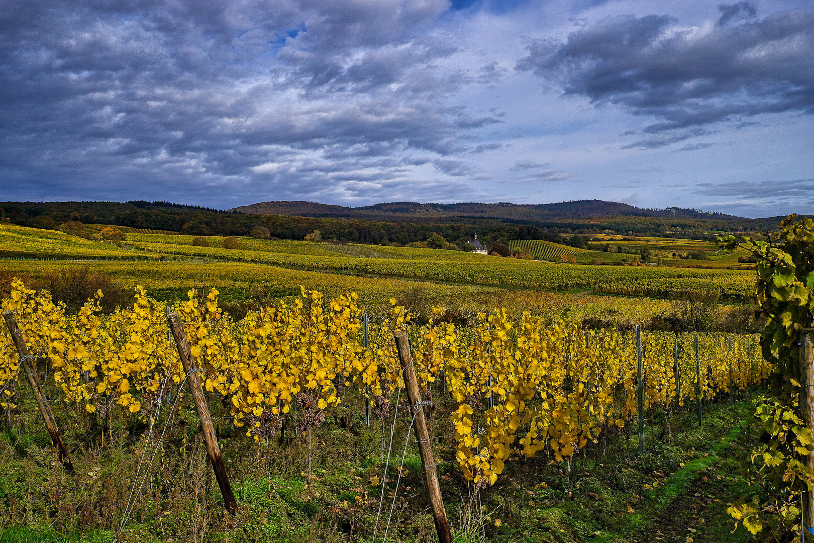 Herbststimmung im Rheingau