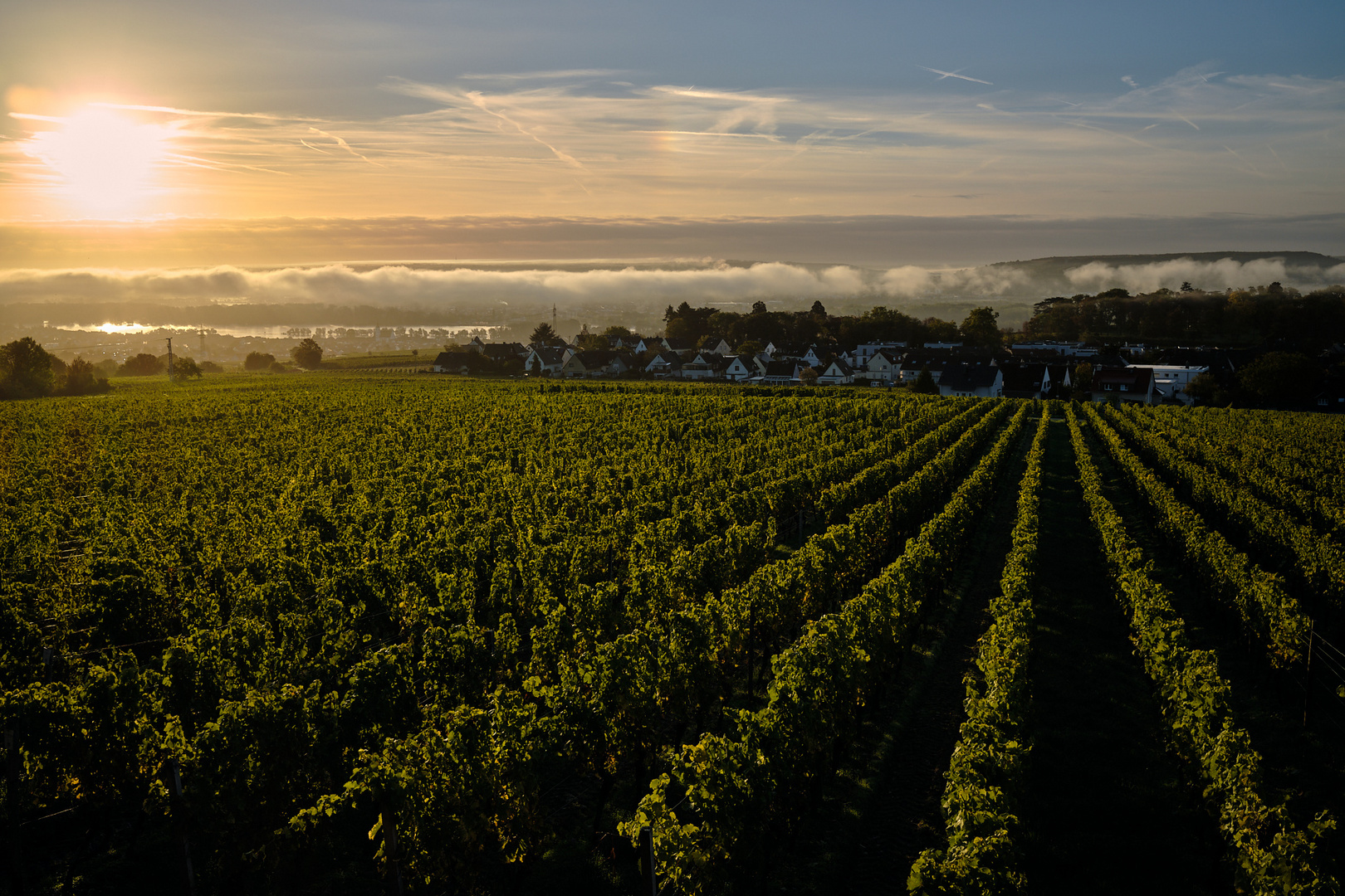 Herbststimmung im Rheingau