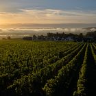 Herbststimmung im Rheingau