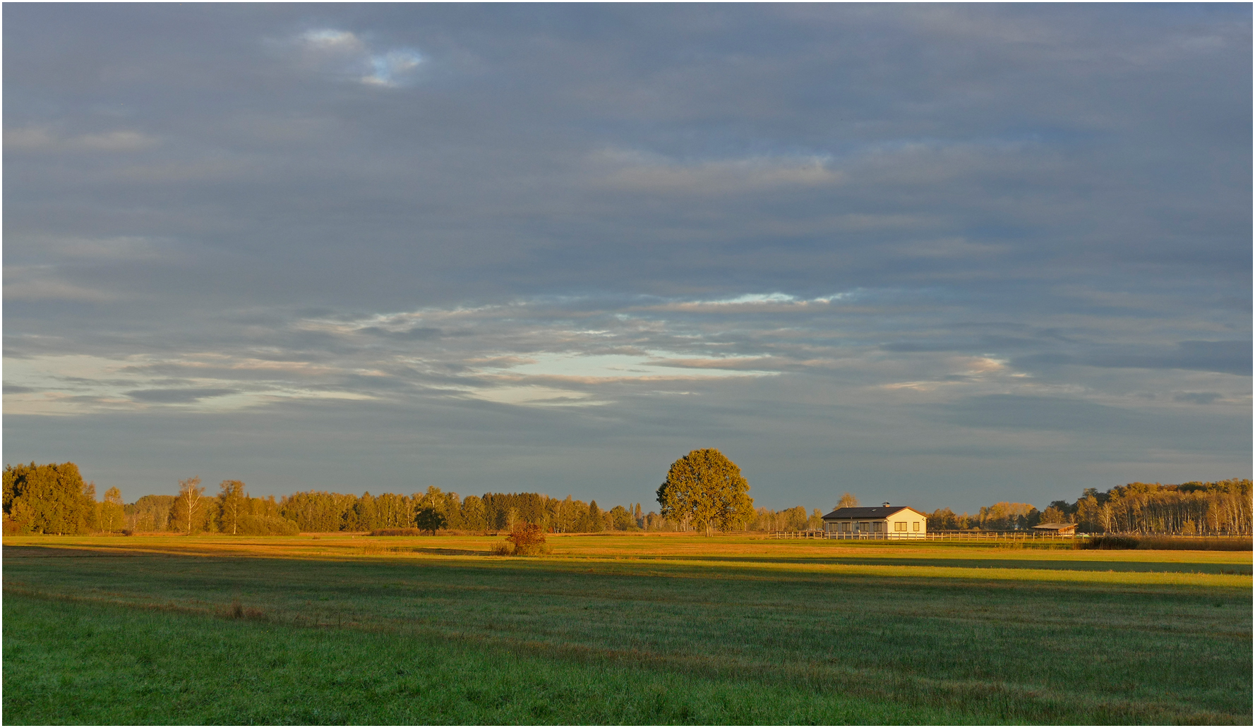 Herbststimmung im Ried