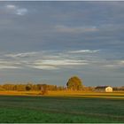 Herbststimmung im Ried