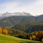 Herbststimmung im Rosengarten