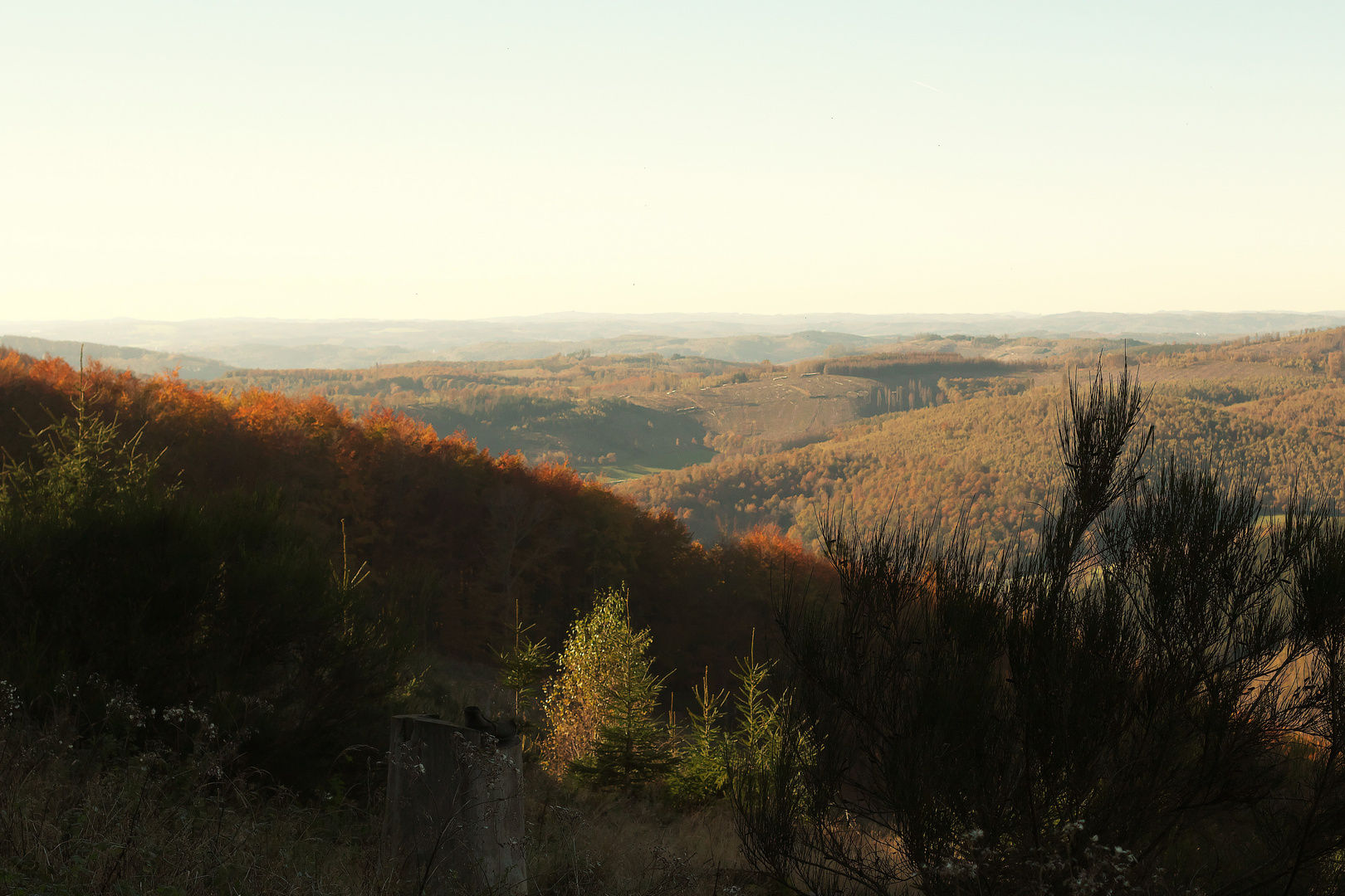 Herbststimmung im Rothaargebirge / Bild 1