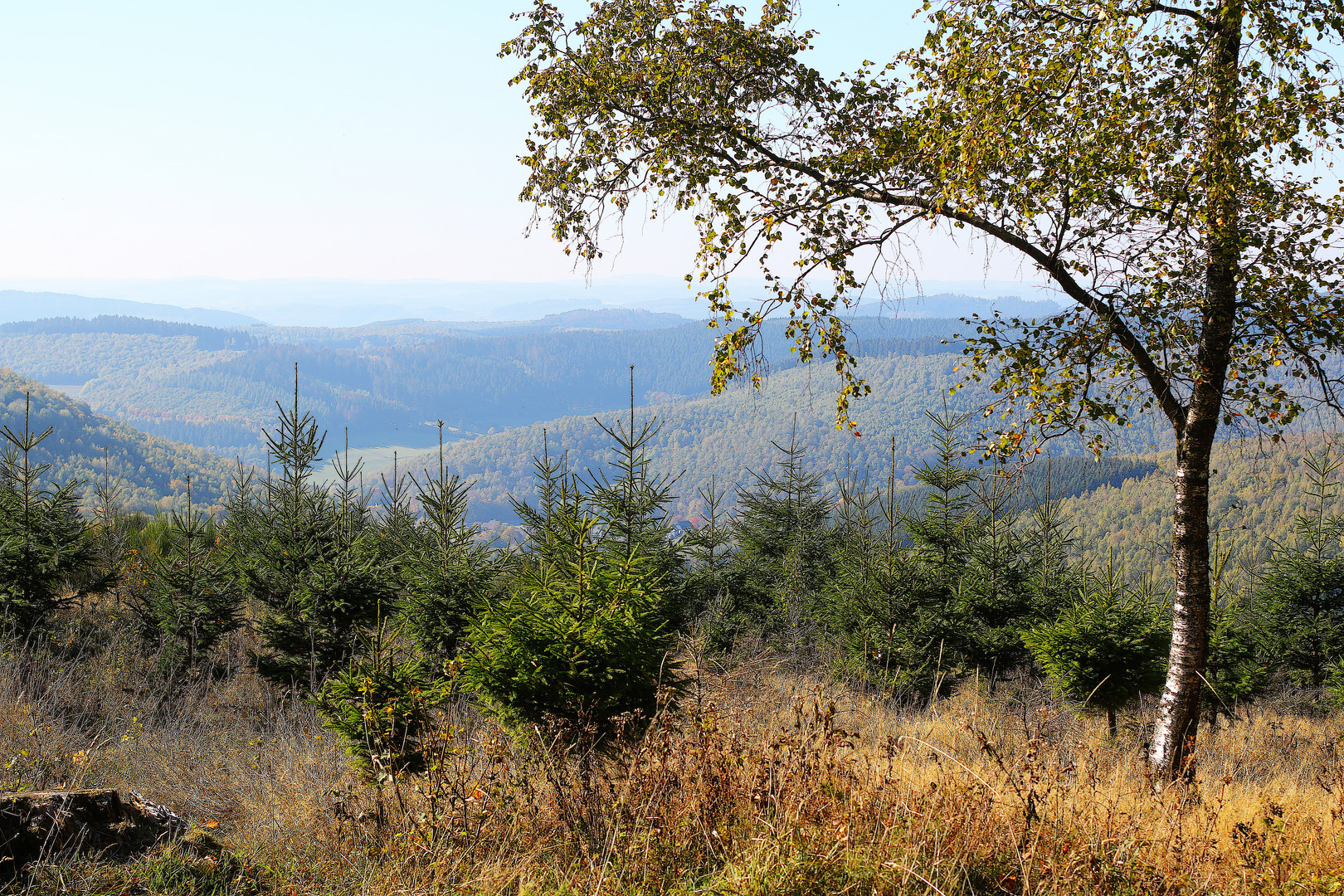 Herbststimmung im Rothaargebirge / Bild 2