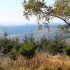 Herbststimmung im Rothaargebirge / Bild 2