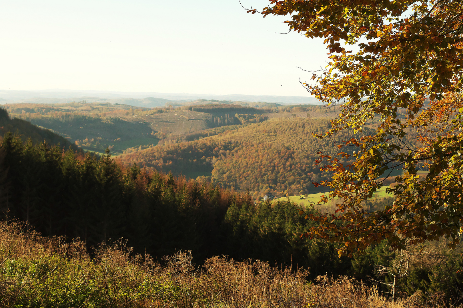 Herbststimmung im Rothaargebirge / Bild 2