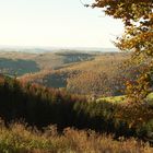 Herbststimmung im Rothaargebirge / Bild 2