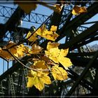 herbststimmung im schifshebewerk henrichenburg