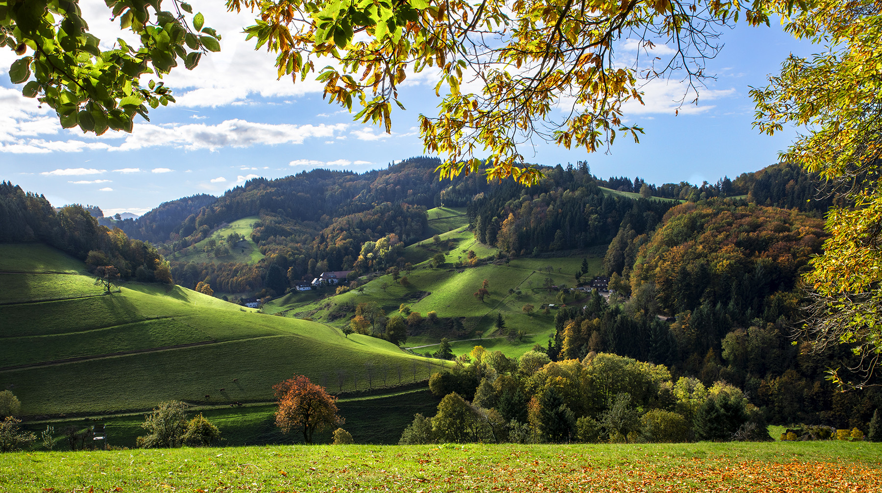 Herbststimmung im Schwarzwald