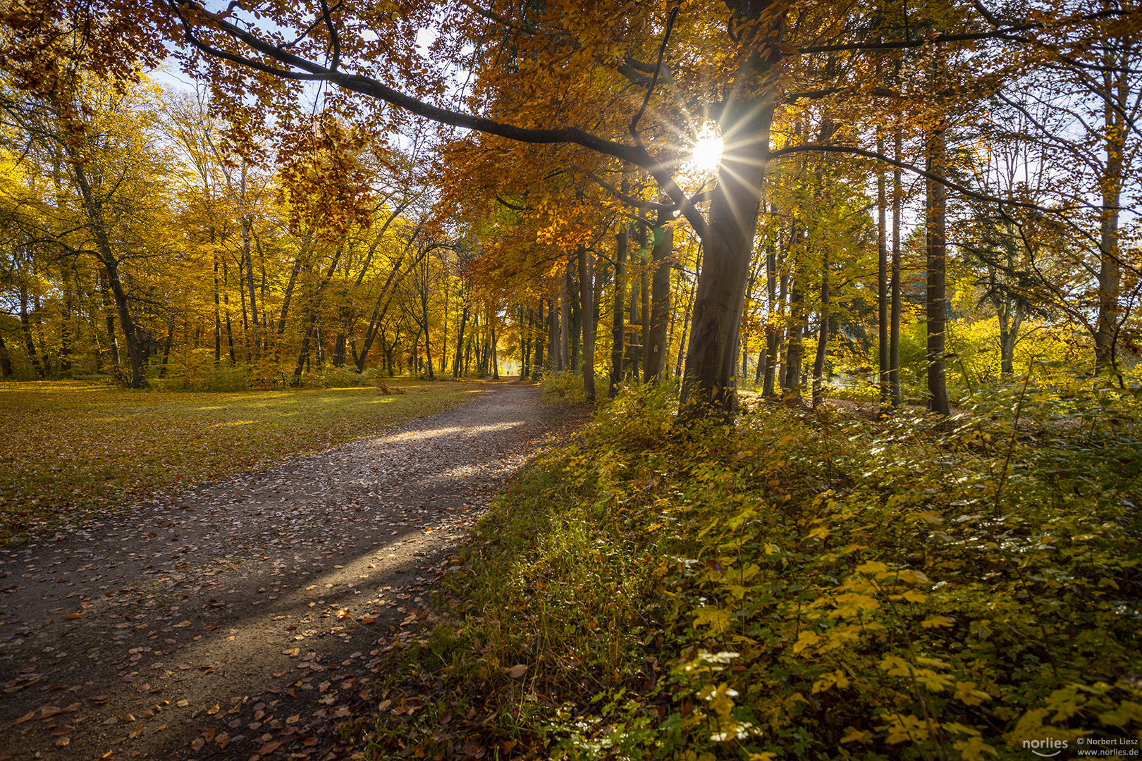 Herbststimmung im Siebentischwald