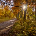 Herbststimmung im Siebentischwald