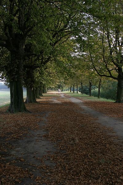 Herbststimmung im Sommer