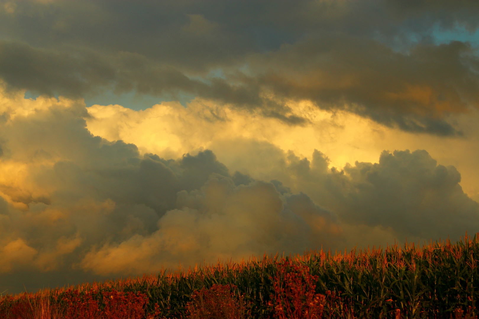 Herbststimmung im Spätsommer!