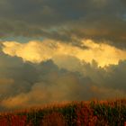 Herbststimmung im Spätsommer!