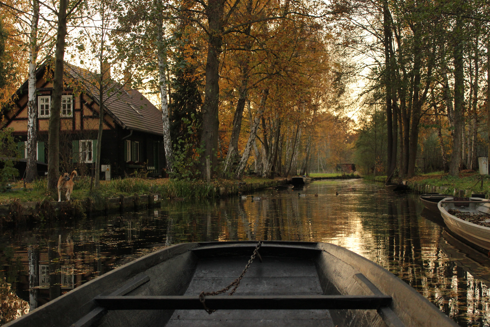 Herbststimmung im Spreewald