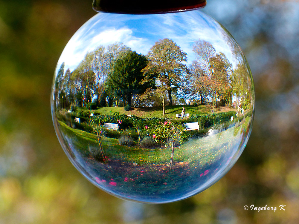 Herbststimmung im Stadtgarten Neuss - im Rosengarten