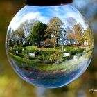 Herbststimmung im Stadtgarten Neuss - im Rosengarten