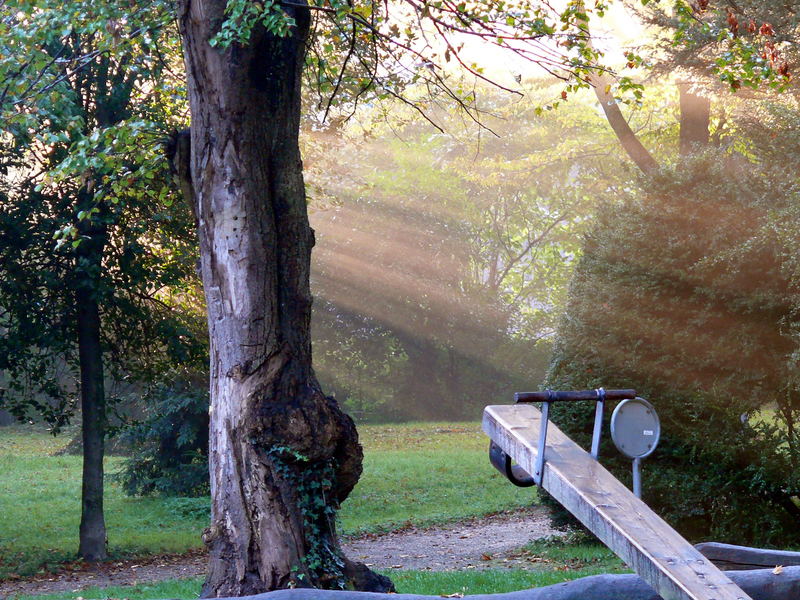 Herbststimmung im Stadtpark