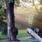 Herbststimmung im Stadtpark