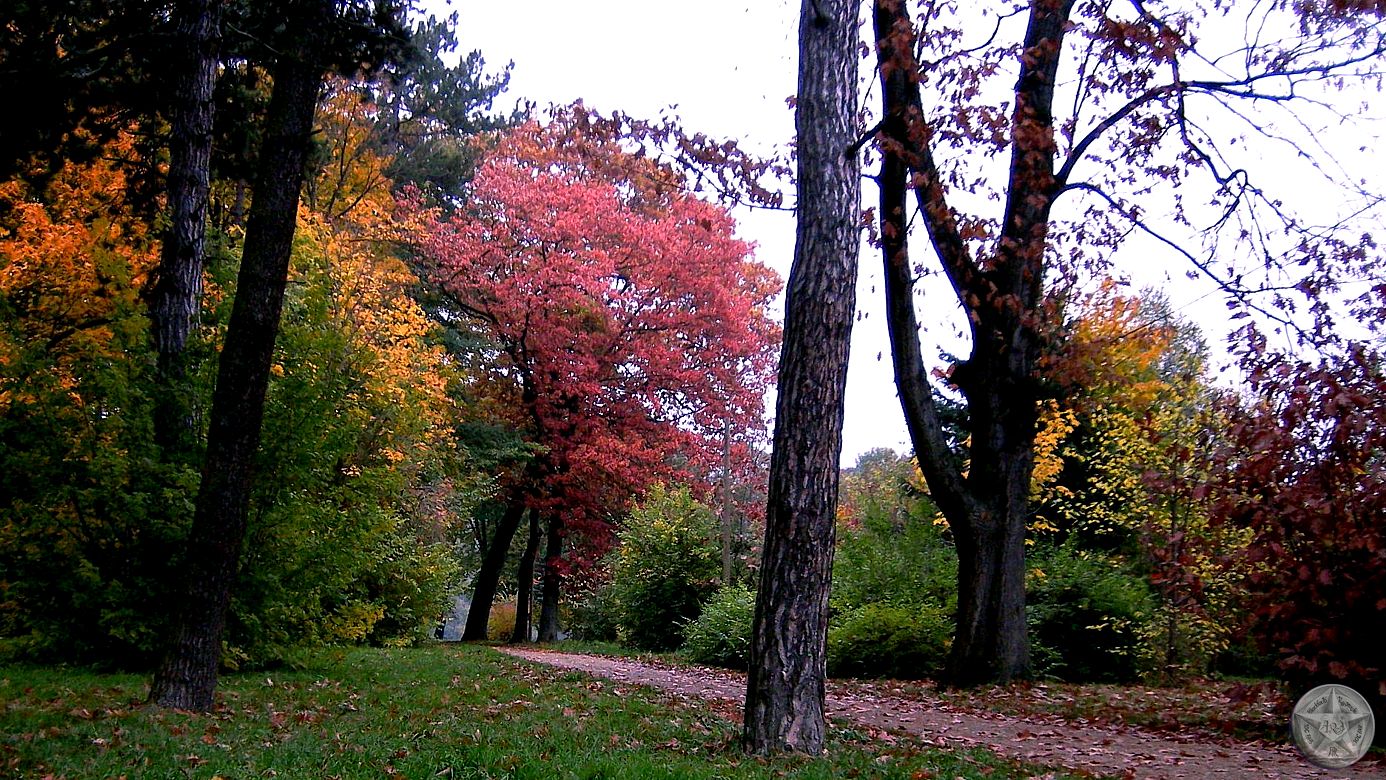 Herbststimmung im Stadtpark Riesa - 27.10.2007