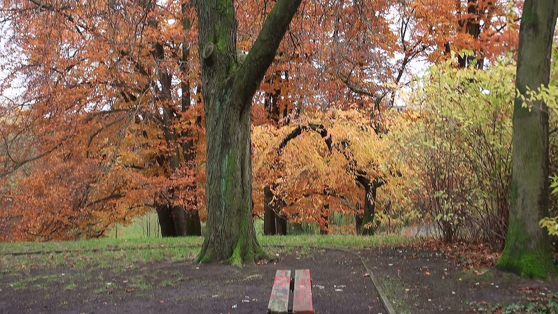 Herbststimmung im Steglitzer Stadtpark