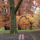 Herbststimmung im Steglitzer Stadtpark