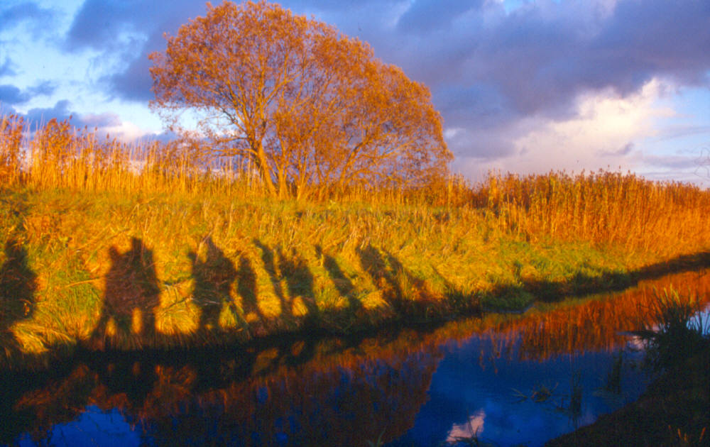 Herbststimmung im Storchendorf Linum