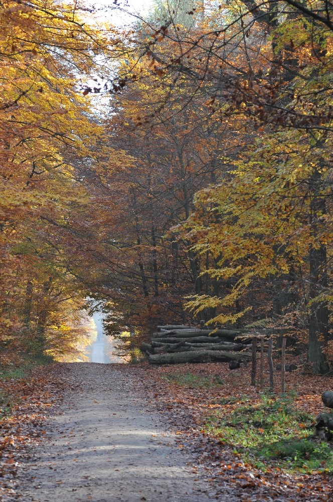 Herbststimmung im Taunus