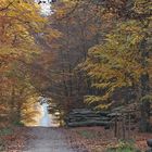 Herbststimmung im Taunus