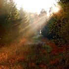 Herbststimmung im Teutoburger Wald